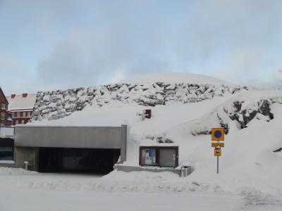 雪を下から見上げる不思議