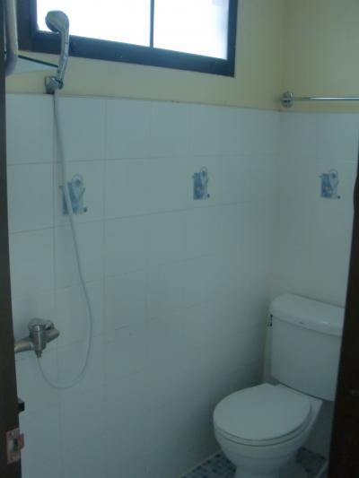 お湯もちゃんと出ました。