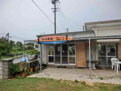 超濃厚フレッシュジュース（まんま果実）