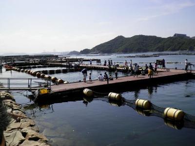 ペットと共にBBQ・・・