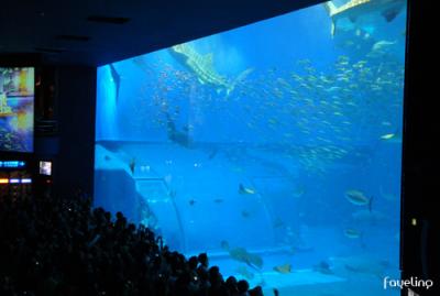 沖縄で水族館なら