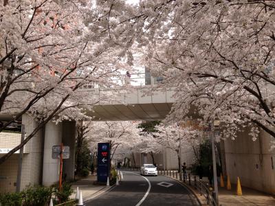 嬉しいような・・・