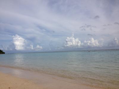 残念　エレベーター