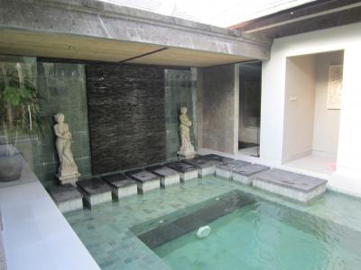 プール脇の滝？