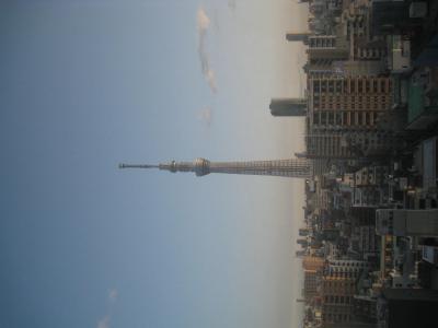 ＴＤＲ観光にバッチリ！！