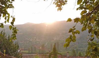 ペンションからの景色