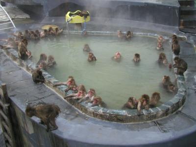 湯の川にある子供に人気の植物園