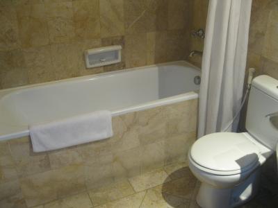 私はきれいに感じましたけど、皆さんはどうでしょう？