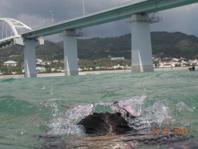 橋の下で泳ごう！