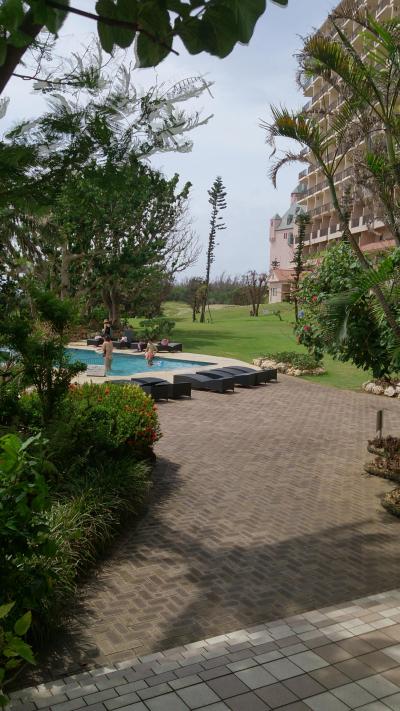 便利そうでやっぱりレンタカーが欲しい？