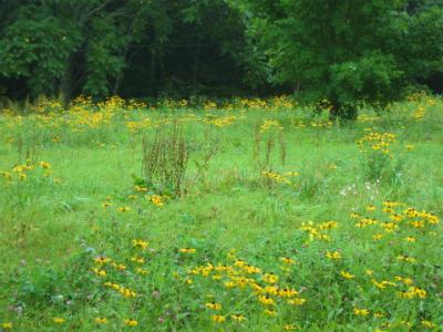 アットホームでくつろげました。