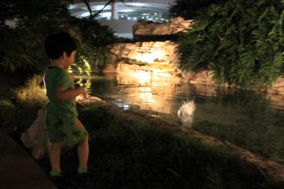 GREAT HOTEL GREAT SERVICE 