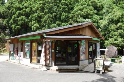 お勧めはたんかんジュース！