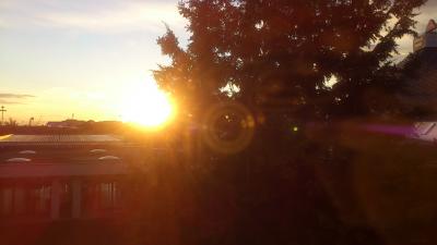 自然が豊かな印象です。