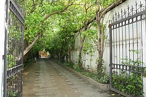 フットリフレが上手でした。