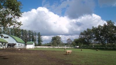 手作りバターが美味♪