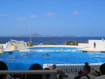 子供は大喜び！