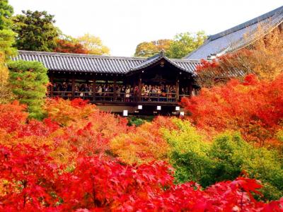 紅葉見るなら東福寺