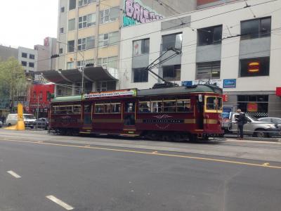 無料トラムは見つけたら飛び乗りましょう！