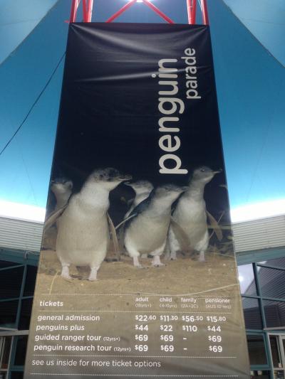 めちゃめちゃ癒されます！