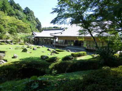 散歩に最適、是非