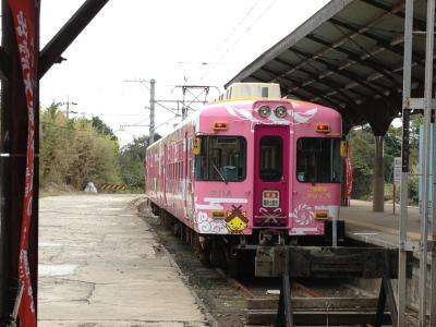 ピンクの電車で恋愛運UP！？