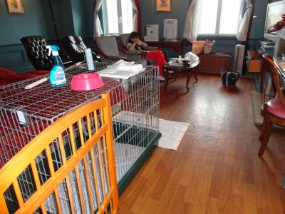 愛犬とラウンドできます