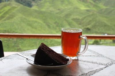 キャメロン・ハイランドの観光巡り