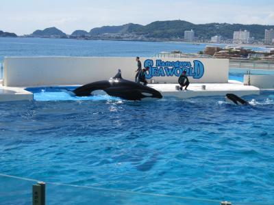 海を感じる水族館