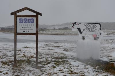 １号線脇に出ている牛の形の看板が目印です。