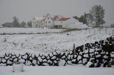 受付棟内の食堂から見た周辺の農場。この時は９月でも雪景色。