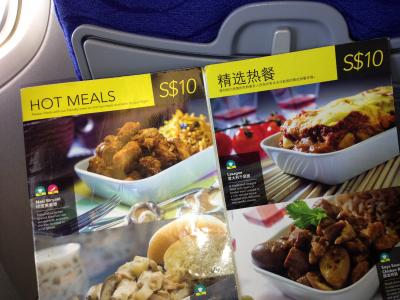 機内サービスはないけど短距離なので十分