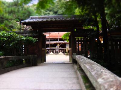 宇治上神社は修復中でも美しい！