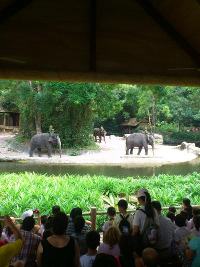 大人も子供も大いに楽しめるシンガポールズー