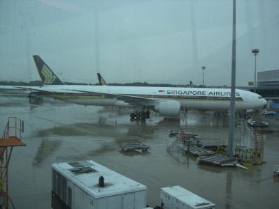 評判通り。やっぱり対応も機内食もおいしいです。