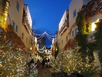 雰囲気はとてもすてきでしたが・・・