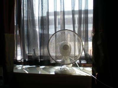 天気が良く日差しが差し込む