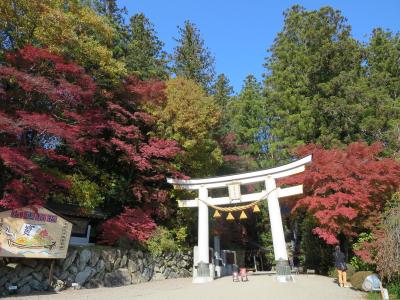 晴れた日は長瀞アルプスぜひ歩いてみてください♪紅葉の時期は気持ちいいです。