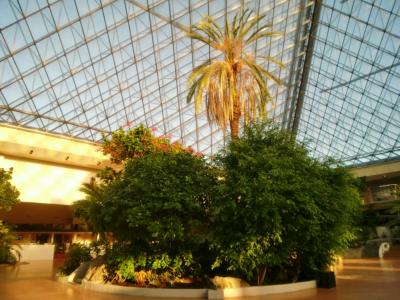 本当にあるピラミッド