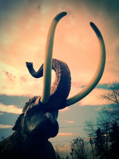 道の駅にある温泉ホテル