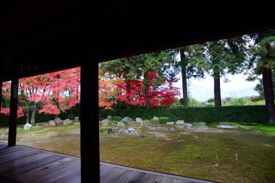 京都随一の借景式枯山水庭園プラス紅葉！！