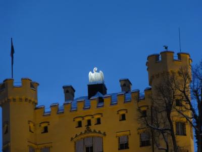 よく見ると白鳥が