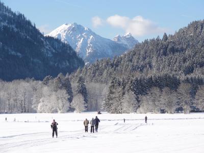 フュッセンまでのエリアはクロスカントリースキー場