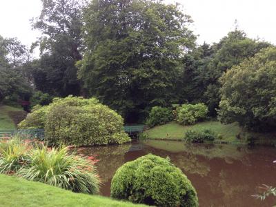 かなり広い庭もよく手入れされて森につながっている