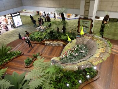 広くて魅力的な空港