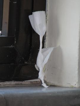 ルームクリーニングした方が、紙でで作ってくれたチューリップ