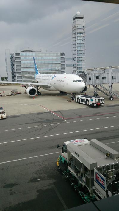 インドネシアのフラッグシップ・エアライン。ジャワの人彫が深くて好きです。