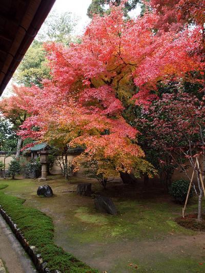 静かに紅葉が楽しめます。