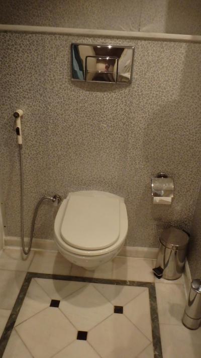 この国のトイレには、ホース型の洗浄装置が付いています