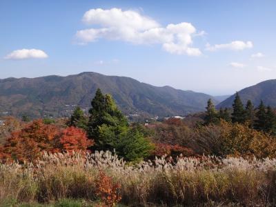 大満足でまた泊まりたいホテル